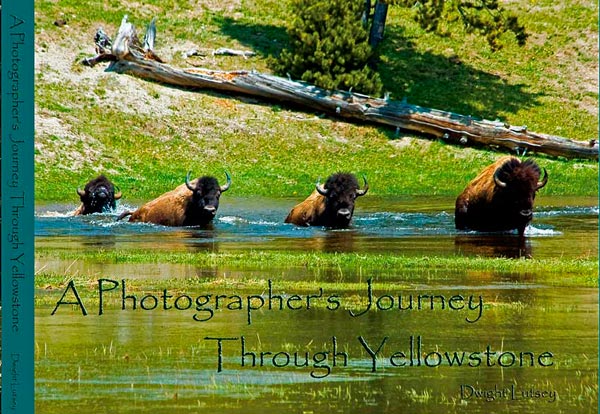 A Photographer's Journey Through Yellowstone